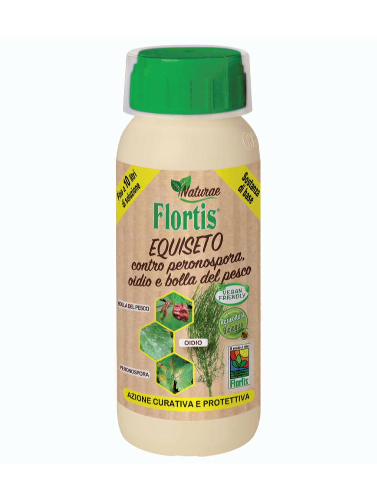Naturae Equiseto Flortis (134927)