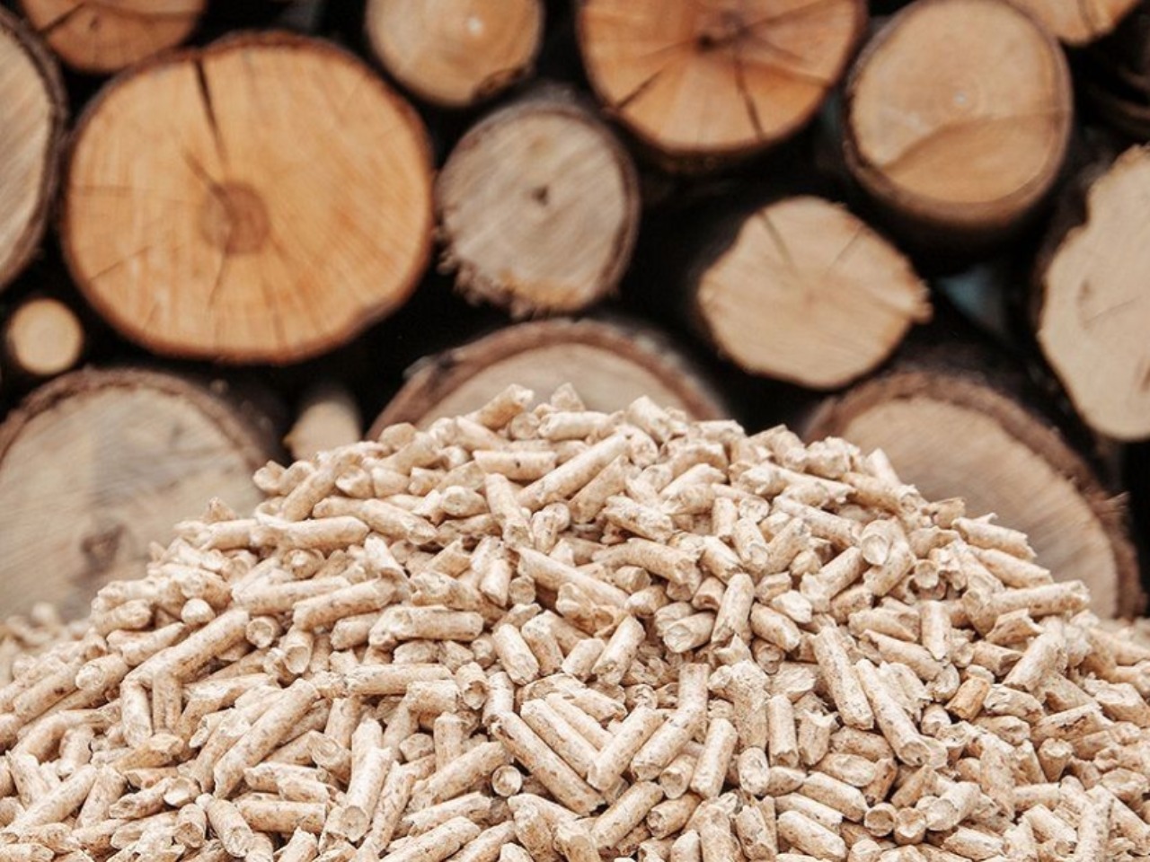 Prestagionali legna e pellet