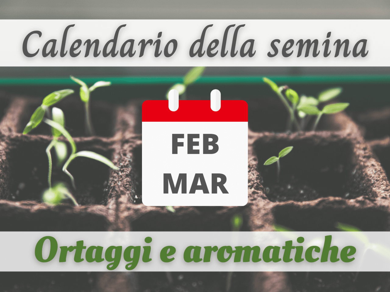 CALENDARIO DELLA SEMINA febbraio/marzo: ORTAGGI e PIANTE AROMATICHE